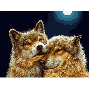 Картина по номерам "Волчья нежность"