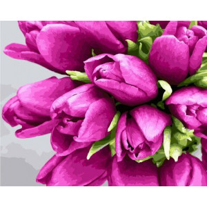 Картина по номерам "Бузові тюльпани"