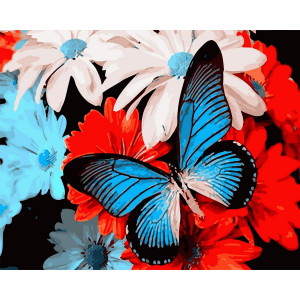 Картина по номерам "Голубая бабочка"