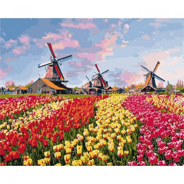 Картина по номерам "Красочные тюльпаны Голландии"