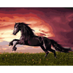 Картина по номерам "Прыжок лошади"