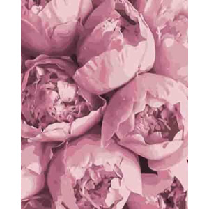 Картина по номерам "Розовая нежность"