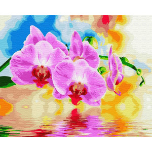 Картина по номерам "Орхидеи над водой"