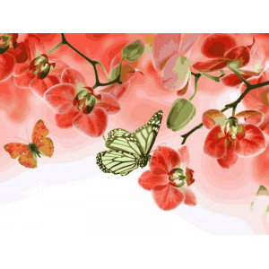 Картина по номерам "Бабочки и красные орхидеи"