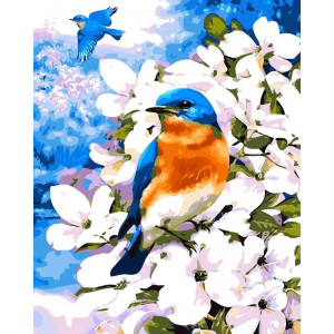 Картина по номерам "Птичка на яблоневой ветке"