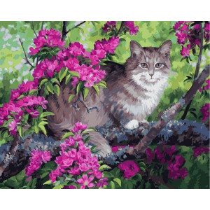 Картина по номерам "Кот и цветущее дерево"