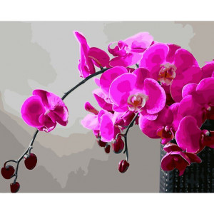 Картина по номерам "Пурпурная орхидея"