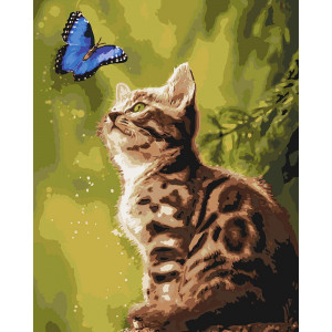 Картина по номерам "Загадочная бабочка"
