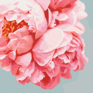 Картина по номерам "Нежно-розовые пионы"