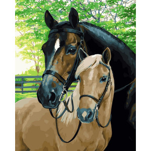 Картина по номерам "Прекрасные лошади"