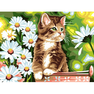 Картина по номерам "Котик в ромашках"