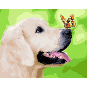 Картина по номерам "Лабрадор и бабочка"