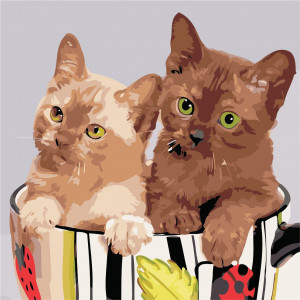 Картина по номерам "Коты в чашке"