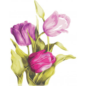 Картина по номерам "Нежные тюльпаны"