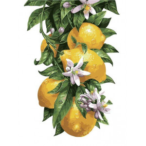 Картина по номерам "Лимонне дерево"