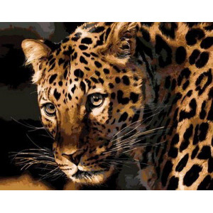 Картина по номерам "Насторожений леопард"