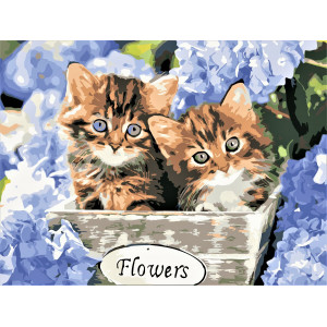 Картина по номерам "Кошенята в квітах"