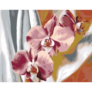 Картина по номерам "Красочные орхидеи"