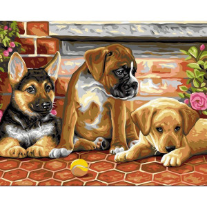 Картина по номерам "Три щенка и мячик"