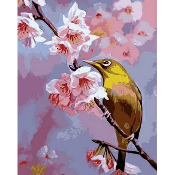 Картина по номерам "Колибри на яблоневой ветке"
