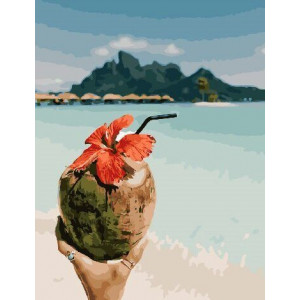 Картина по номерам "Кокосовые Мальдивы"