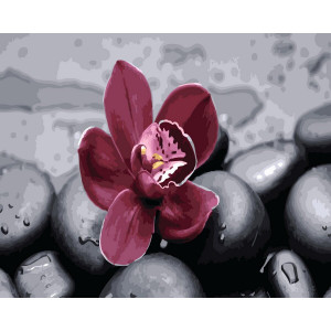Картина по номерам "Орхидея в камнях"