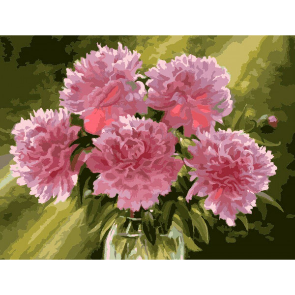Картина по номерам "Розовые пионы в вазе"