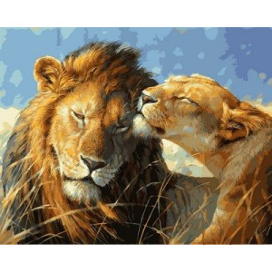 Картина по номерам "Влюблённые львы"