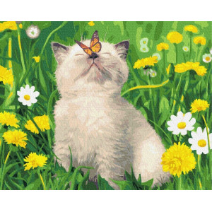 Картина по номерам "Котенок с бабочкой"