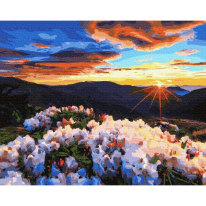 Картина по номерам "Восход в горах"