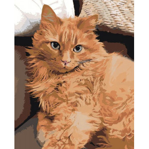 Картина по номерам "Рыжий кот"