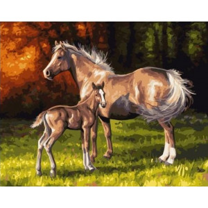 Картина по номерам "Ветер в гривах лошадей"