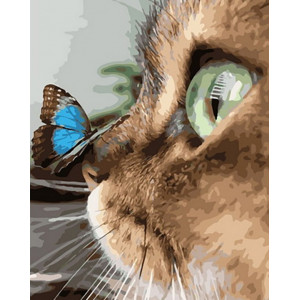 Картина по номерам "Бабочка на носу у кошки"