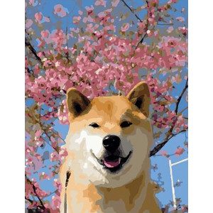 Картина по номерам "Весенний пес"