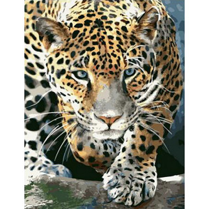 Картина по номерам "Крадущийся леопард"