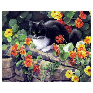 Картина по номерам "Кот в саду"