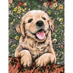 Картина по номерам "Веселый щенок"