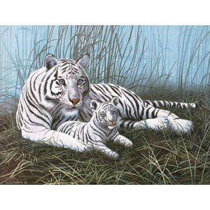 Картина по номерам "Белый тигр"