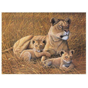 Картина по номерам "Африканские львы"
