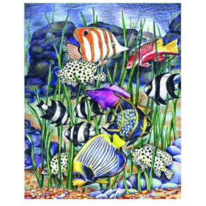Картина по номерам "Тропічні рибки"