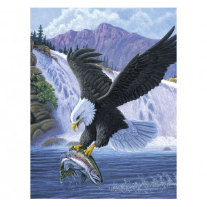 Картина по номерам "Орел на полюванні"