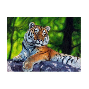 Картина по номерам "Амурский тигр"