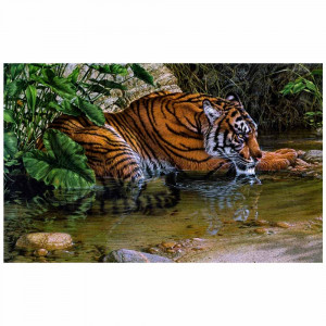 Картина по номерам "Тигр у воды"