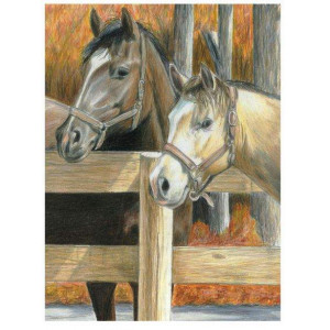 Картина по номерам "Лошади на конюшне"