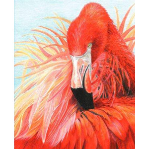 Картина по номерам "Фламинго"
