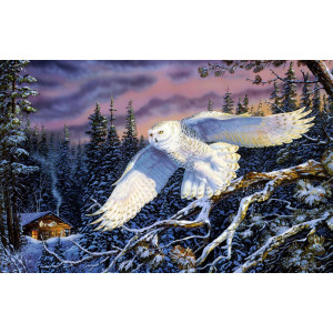 Картина по номерам "Белая сова"
