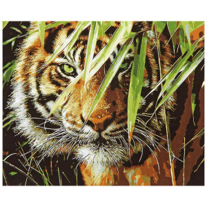 Картина по номерам "Тигр в траве"