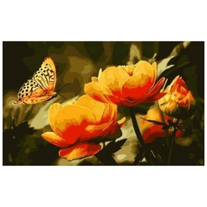 Картина по номерам "Бабочки и жарки"