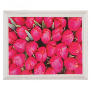 Картина по номерам "Тюльпаны розовые"