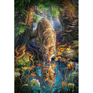 Картина по номерам "Волк в осеннем лесу"